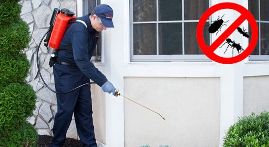 Hanak Bit İlaçlama böcek ilaçlama ve haşere kontrolü — ilaclama-tr.com